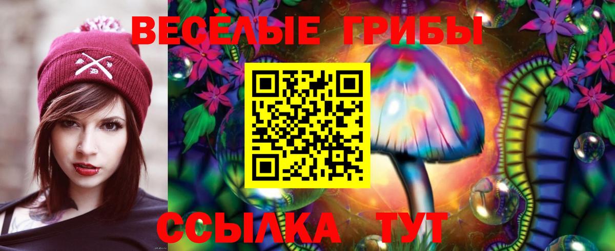 Галлюциногенные грибы мухоморы Рубцовск
